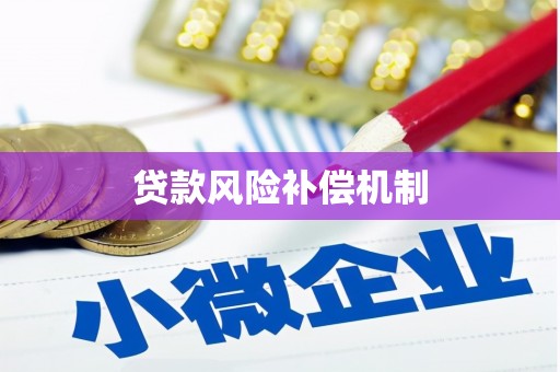 新竹贷款风险补偿机制