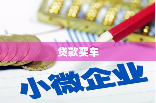 新竹贷款买车