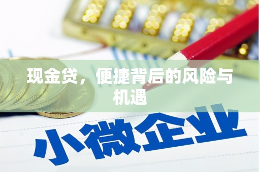 新竹现金贷，便捷背后的风险与机遇