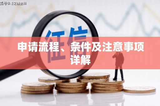 新竹申请流程、条件及注意事项详解