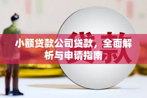 新竹小额贷款公司贷款，全面解析与申请指南