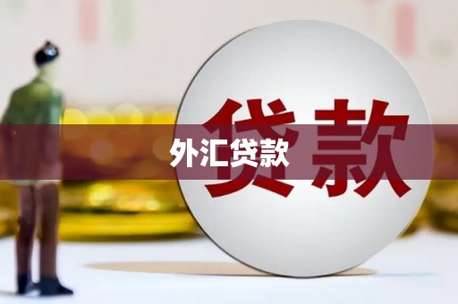 新竹外汇贷款