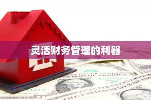新竹灵活财务管理的利器