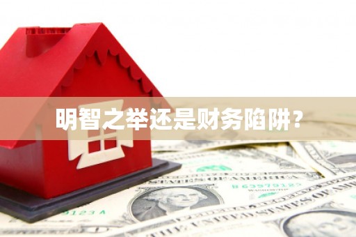 新竹明智之举还是财务陷阱？