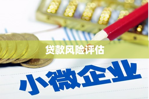新竹贷款风险评估