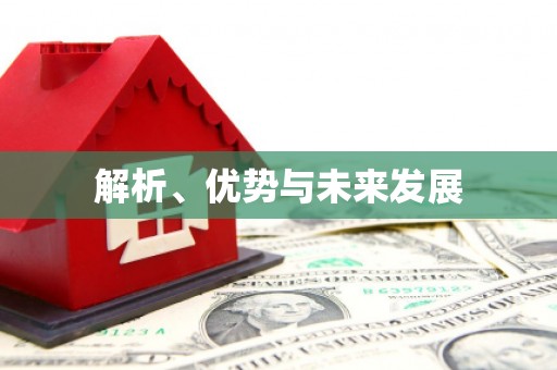 新竹解析、优势与未来发展