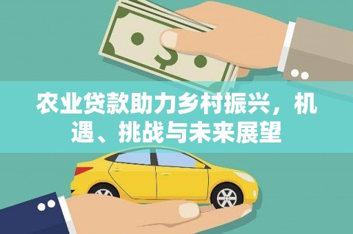 新竹农业贷款助力乡村振兴，机遇、挑战与未来展望