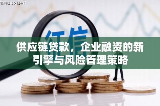 新竹供应链贷款，企业融资的新引擎与风险管理策略