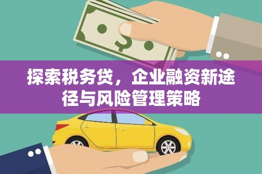 新竹探索税务贷，企业融资新途径与风险管理策略