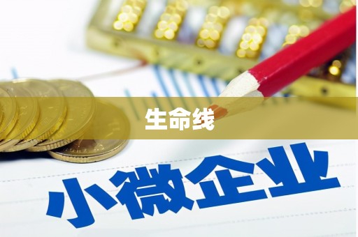 新竹生命线