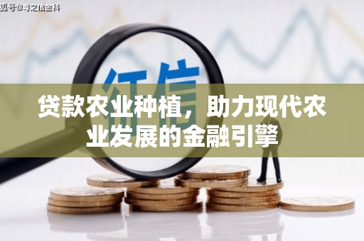 新竹贷款农业种植，助力现代农业发展的金融引擎