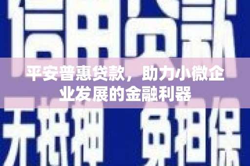 新竹平安普惠贷款，助力小微企业发展的金融利器