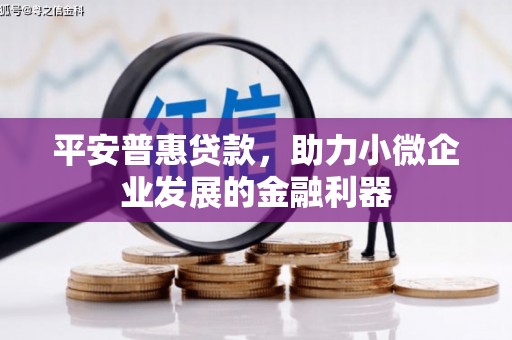新竹平安普惠贷款，助力小微企业发展的金融利器