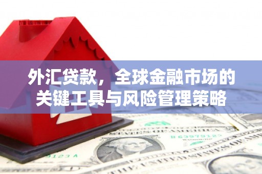 新竹外汇贷款，全球金融市场的关键工具与风险管理策略