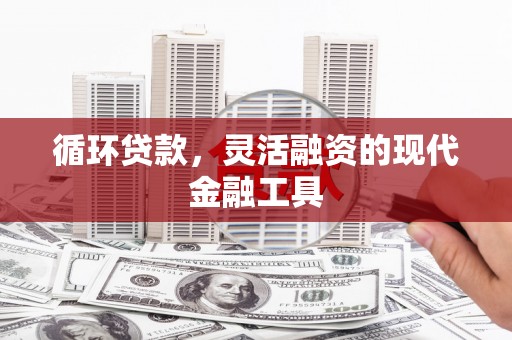 新竹循环贷款，灵活融资的现代金融工具