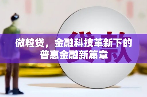 新竹微粒贷，金融科技革新下的普惠金融新篇章