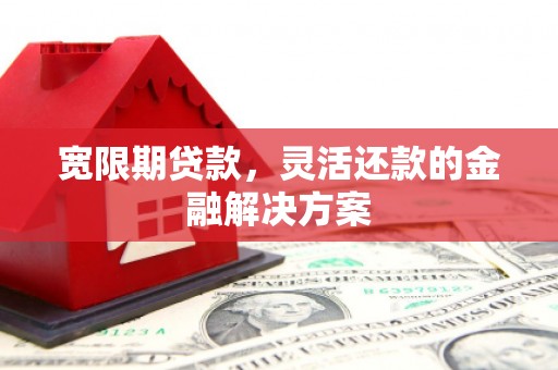 新竹宽限期贷款，灵活还款的金融解决方案