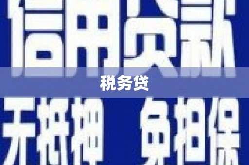 新竹税务贷