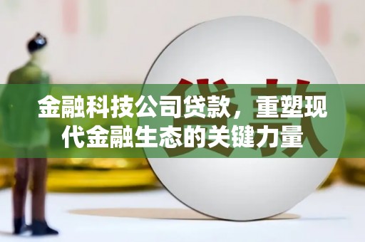 新竹金融科技公司贷款，重塑现代金融生态的关键力量