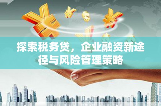 新竹探索税务贷，企业融资新途径与风险管理策略