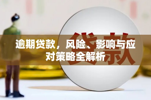 新竹逾期贷款，风险、影响与应对策略全解析