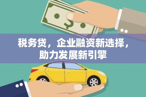 新竹税务贷，企业融资新选择，助力发展新引擎