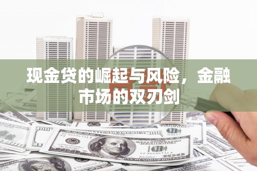 新竹现金贷的崛起与风险，金融市场的双刃剑