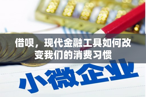 新竹借呗，现代金融工具如何改变我们的消费习惯