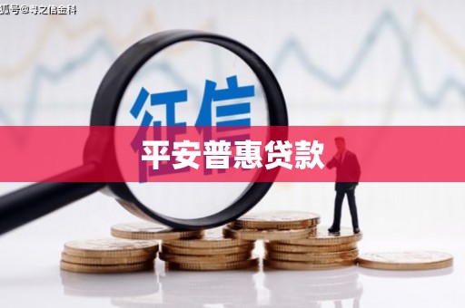 新竹平安普惠贷款