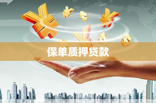 新竹保单质押贷款