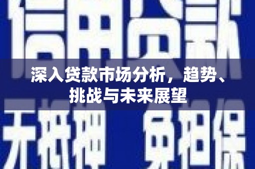 新竹深入贷款市场分析，趋势、挑战与未来展望