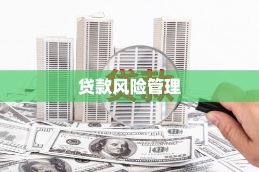新竹贷款风险管理