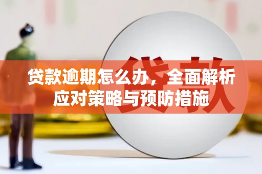 新竹贷款逾期怎么办，全面解析应对策略与预防措施