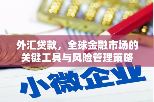 新竹外汇贷款，全球金融市场的关键工具与风险管理策略