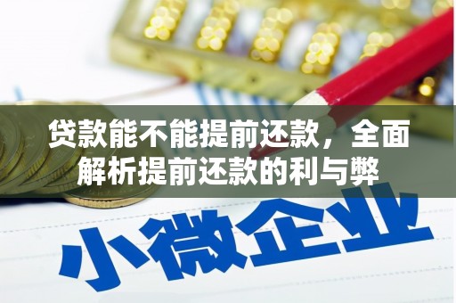 新竹贷款能不能提前还款，全面解析提前还款的利与弊
