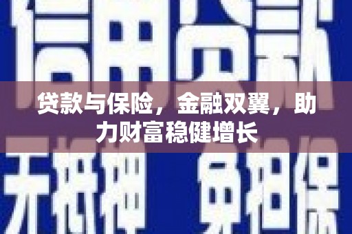 新竹贷款与保险，金融双翼，助力财富稳健增长