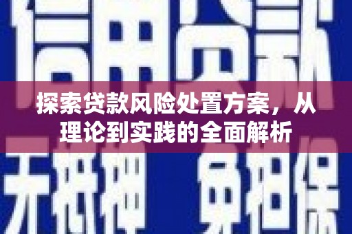 新竹探索贷款风险处置方案，从理论到实践的全面解析