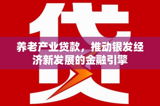 新竹养老产业贷款，推动银发经济新发展的金融引擎