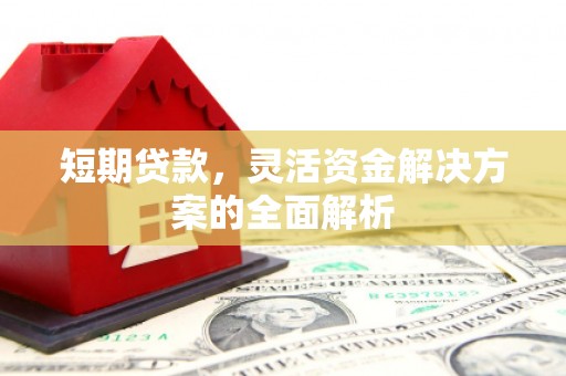 新竹短期贷款，灵活资金解决方案的全面解析