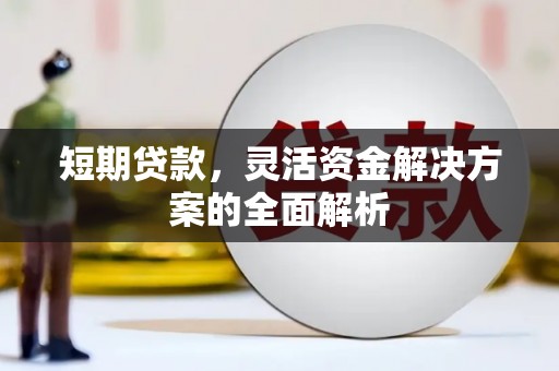 新竹短期贷款，灵活资金解决方案的全面解析