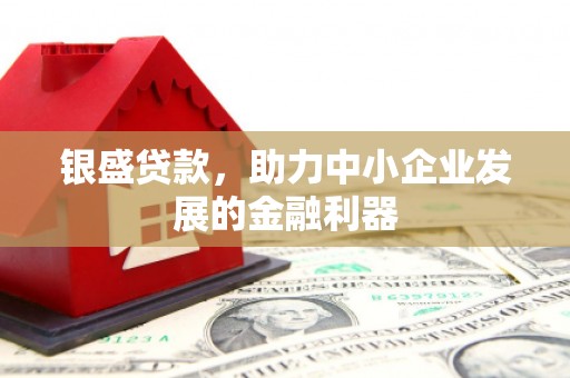 新竹银盛贷款，助力中小企业发展的金融利器