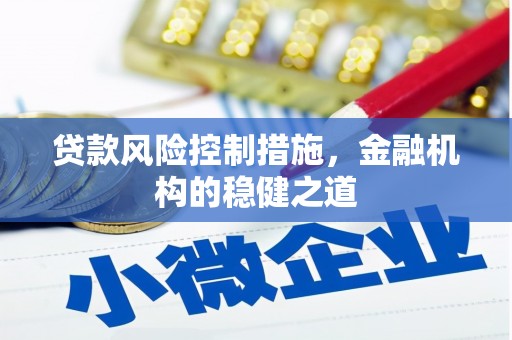 新竹贷款风险控制措施，金融机构的稳健之道