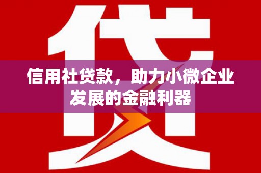 新竹信用社贷款，助力小微企业发展的金融利器