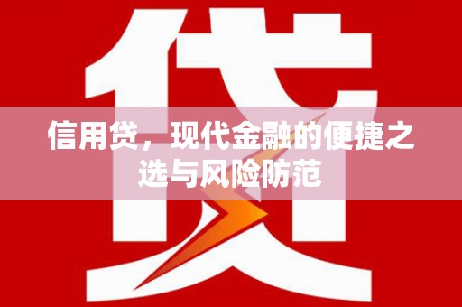 新竹信用贷，现代金融的便捷之选与风险防范