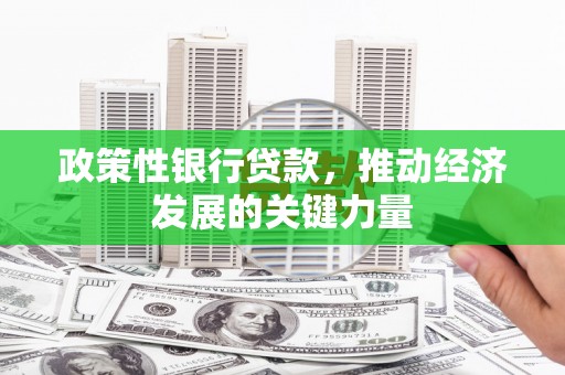 新竹政策性银行贷款，推动经济发展的关键力量