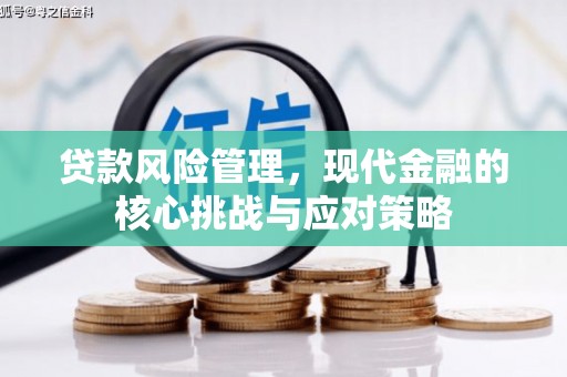 新竹贷款风险管理，现代金融的核心挑战与应对策略
