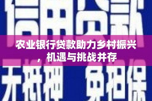 新竹农业银行贷款助力乡村振兴，机遇与挑战并存