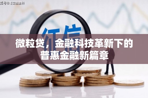 新竹微粒贷，金融科技革新下的普惠金融新篇章