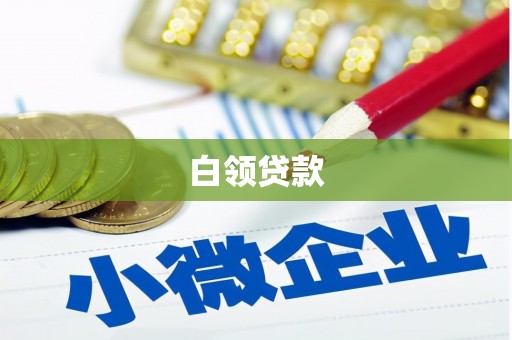 新竹白领贷款