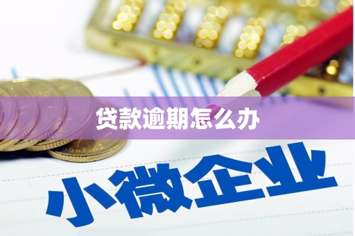 新竹贷款逾期怎么办